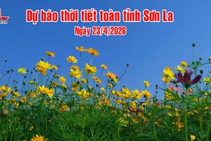 Bản tin dự báo thời tiết toàn tỉnh Sơn La ngày 23/4/2026