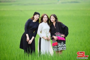 'Ấn tượng cánh đồng lúa xanh mướt ở bản Hùn