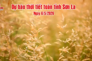'Dự báo thời tiết toàn tỉnh Sơn La ngày 6/5/2026