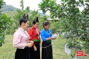 'Phụ nữ xã Mường Sại thi đua xây dựng quê hương giàu đẹp