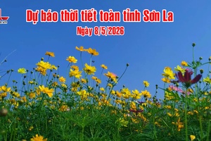 'Dự báo thời tiết toàn tỉnh Sơn La ngày 8/5/2026