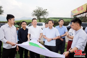 Tháo gỡ khó khăn, vướng mắc liên quan đến các dự án của Thiên đường sữa Mộc Châu