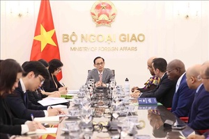 'Đưa quan hệ hợp tác Việt Nam - châu Phi lên tầm cao mới