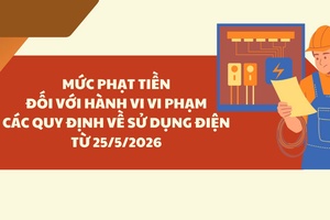 'Mức phạt tiền đối với hành vi vi phạm các quy định về sử dụng điện từ 25/5/2026