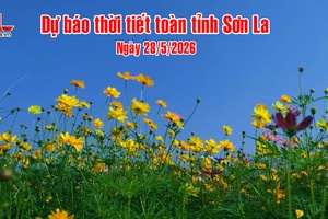 'Dự báo thời tiết toàn tỉnh Sơn La ngày 28/5/2026