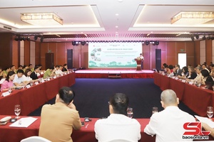 Giảm thiểu tác động của biến đổi khí hậu, huy động nguồn lực bảo vệ phát triển rừng
