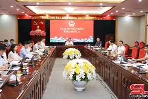 Đẩy nhanh tiến độ triển khai đầu tư các dự án điện năng lượng tái tạo
