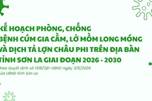 Kế hoạch Phòng, chống bệnh Cúm gia cầm, Lở mồm long móng và Dịch tả lợn Châu Phi trên địa bàn tỉnh Sơn La giai đoạn 2026 - 2030