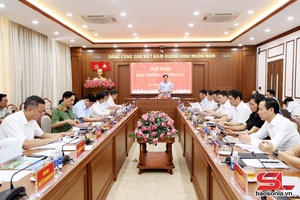 Ban Thường vụ Tỉnh ủy xem xét, quyết định một số nội dung theo thẩm quyền