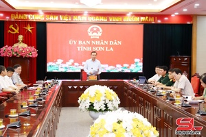 Họp trực tuyến Ban Chỉ đạo xây dựng trường học cho các xã biên giới