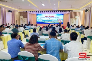 'Triển khai xây dựng vùng an toàn dịch bệnh cấp xã đối với bệnh dại