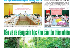 Báo Sơn La, ngày 24/6/2026