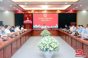 'Triển khai, hướng dẫn thực hiện Nghị định số 164/2006/NĐ-CP