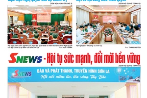 Báo Sơn La, thứ 4 ngày 1/7/2026
