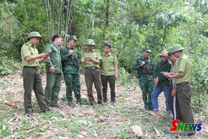 'Bước chuyển tư duy làm kinh tế rừng ở Sơn La