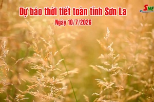 'Dự báo thời tiết toàn tỉnh Sơn La ngày 10/7/2026