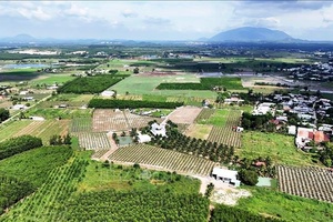 'Kinh tế tuần hoàn - Động lực phát triển xanh hướng tới bền vững