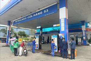 Bộ Khoa học và Công nghệ lưu ý gì về chất lượng xăng E10?