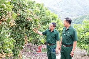 'Lính "Cụ Hồ" tiên phong phát triển kinh tế