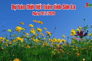 'Dự báo thời tiết toàn tỉnh Sơn La ngày 28/7/2026