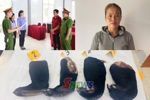 'Khởi tố hai đối tượng mua bán tay gấu ngựa