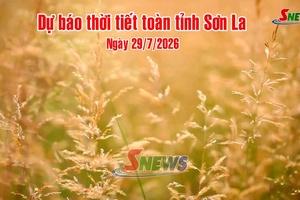 'Dự báo thời tiết toàn tỉnh Sơn La ngày 29/7/2026