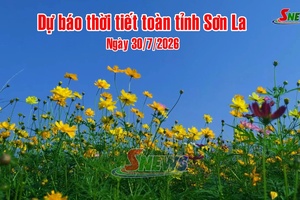 'Dự báo thời tiết toàn tỉnh Sơn La ngày 30/7/2026