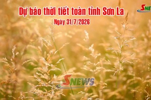 'Dự báo thời tiết toàn tỉnh Sơn La ngày 31/7/2026