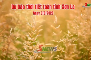 'Dự báo thời tiết toàn tỉnh Sơn La ngày 3/8/2026