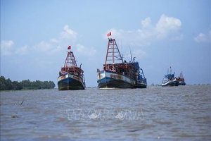 'Khắc phục 'thẻ vàng' IUU: Không có vùng cấm cho vi phạm