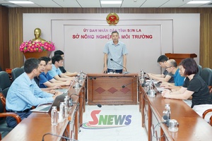 Kích hoạt Trung tâm chỉ huy phòng chống thiên tai