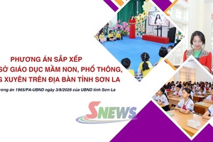 PHƯƠNG ÁN SẮP XẾP CÁC CƠ SỞ GIÁO DỤC MẦM NON, PHỔ THÔNG, THƯỜNG XUYÊN TRÊN ĐỊA BÀN TỈNH SƠN LA