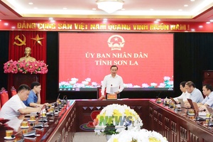 Triển khai phương án sắp xếp các cơ sở giáo dục trên địa bàn tỉnh