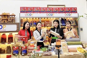 'Khơi sức dân từ phong trào “Dân vận khéo”