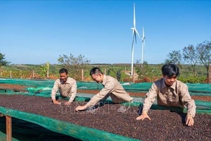 'Việt Nam - New Zealand: Mở rộng dư địa cho những động lực tăng trưởng mới