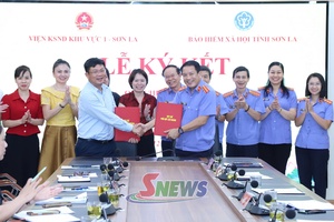'Phối hợp thực thi pháp luật và xử lý vi phạm trong lĩnh vực bảo hiểm xã hội, bảo hiểm thất nghiệp, bảo hiểm y tế