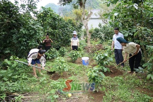 'Xây dựng nông thôn mới trong giai đoạn mới