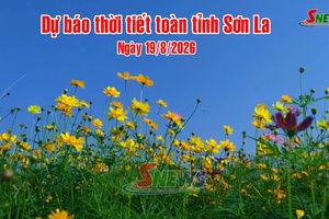 'Dự báo thời tiết toàn tỉnh Sơn La ngày 19/8/2026