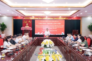 Chuẩn bị khai giảng và triển khai kế hoạch công tác năm học 2026-2027
