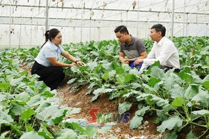 'Tưới tiết kiệm, nâng hiệu quả sản xuất