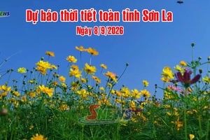 'Dự báo thời tiết toàn tỉnh Sơn La ngày 8/9/2026