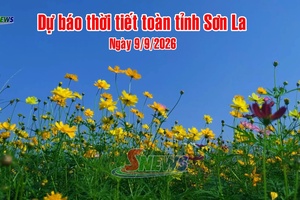 'Dự báo thời tiết toàn tỉnh Sơn La ngày 9/9/2026