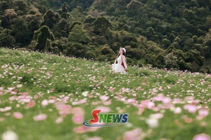 'Sắc thu trên cao nguyên Mộc Châu