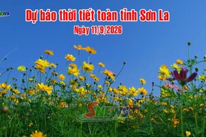'Dự báo thời tiết toàn tỉnh Sơn La ngày 11/9/2026