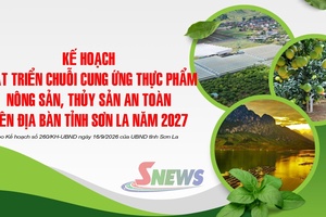 ' Kế hoạch phát triển chuỗi cung ứng thực phẩm nông sản, thủy sản an toàn trên địa bàn tỉnh Sơn La năm 2027