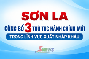 'Sơn La công bố 3 thủ tục hành chính mới trong lĩnh vực xuất nhập khẩu