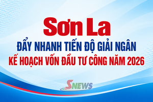 'Sơn La đẩy nhanh tiến độ giải ngân kế hoạch vốn đầu tư công năm 2026