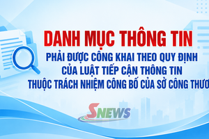 'Danh mục thông tin phải được công khai theo quy định của Luật Tiếp cận thông tin thuộc trách nhiệm công bố của Sở Công Thương