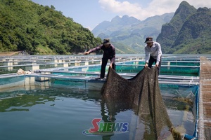 'Mường La tập trung nguồn lực xây dựng nông thôn mới