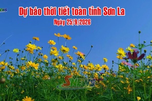 'Dự báo thời tiết toàn tỉnh Sơn La ngày 25/9/2026